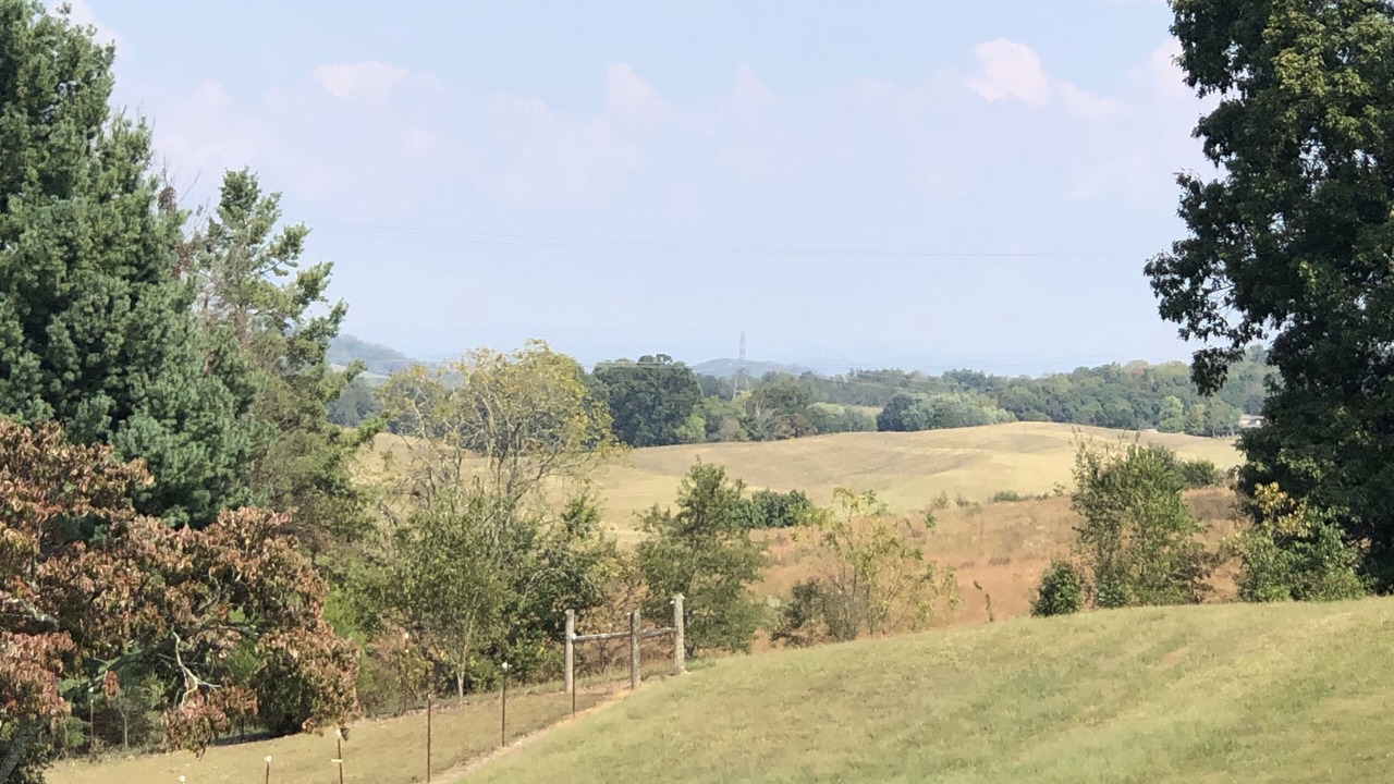 Photo of Others in Jonesborough