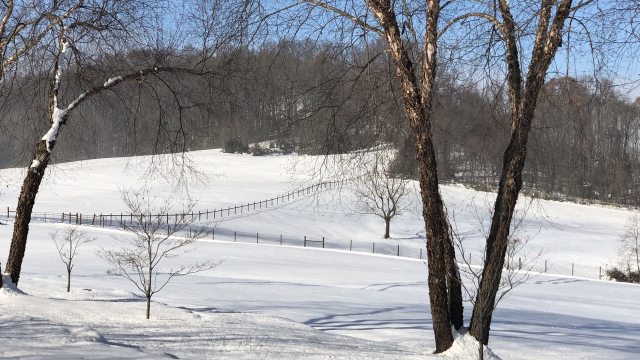 Photo of Others in Jonesborough