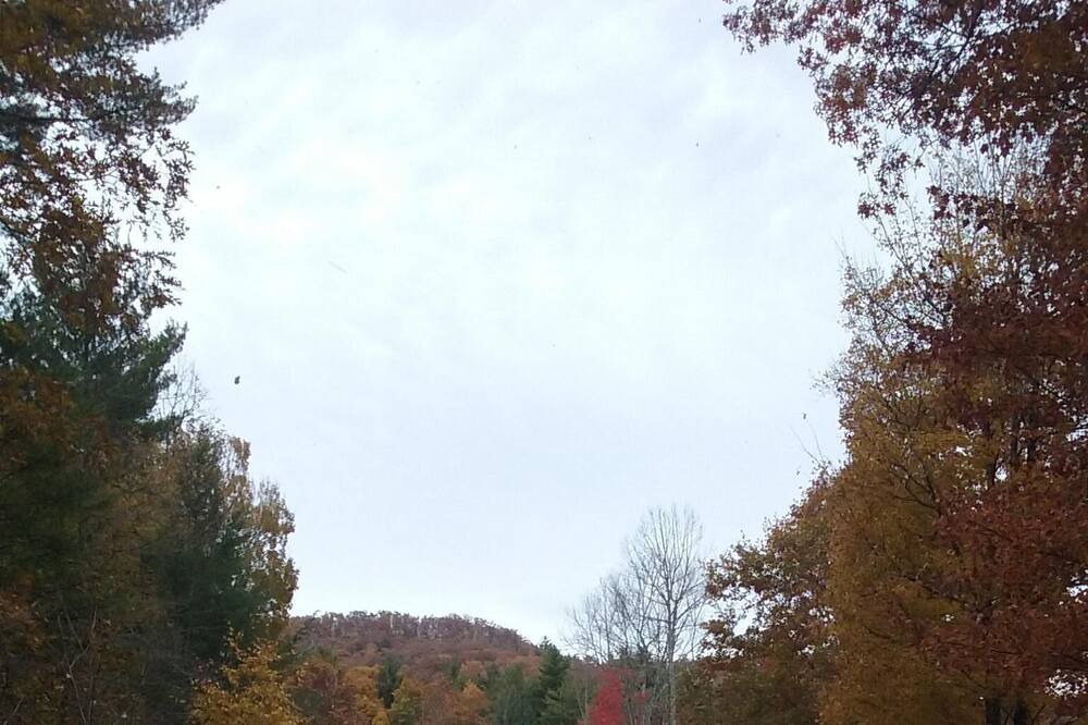 Photo of Others in Mountain City