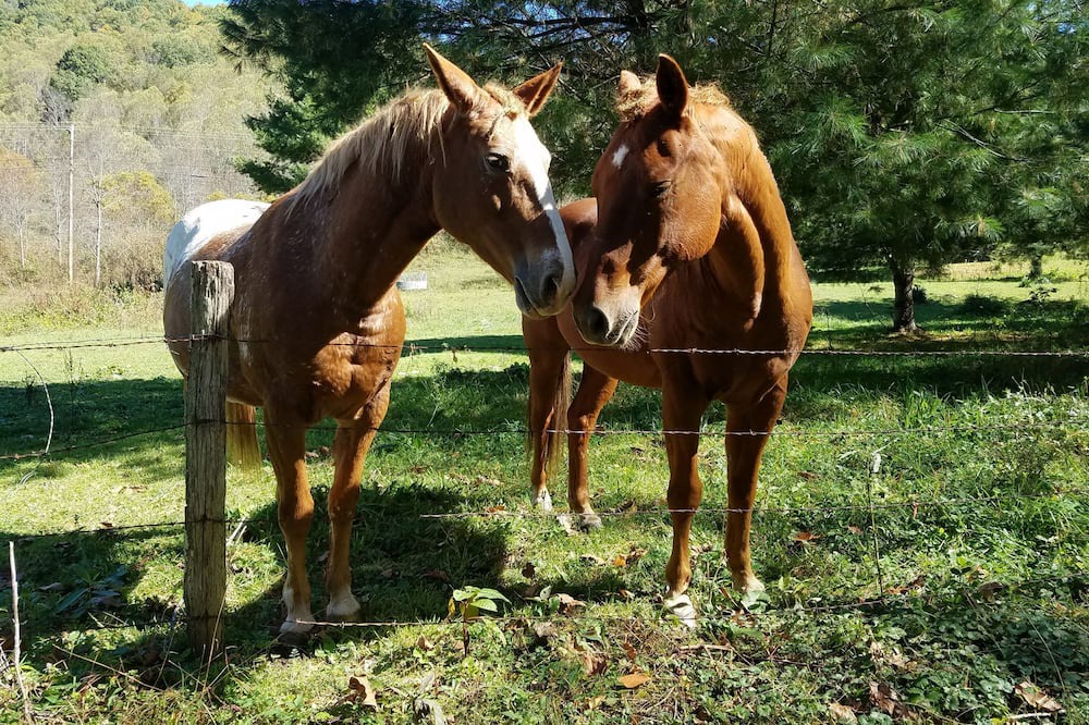 Photo of Others in Cattail Creek