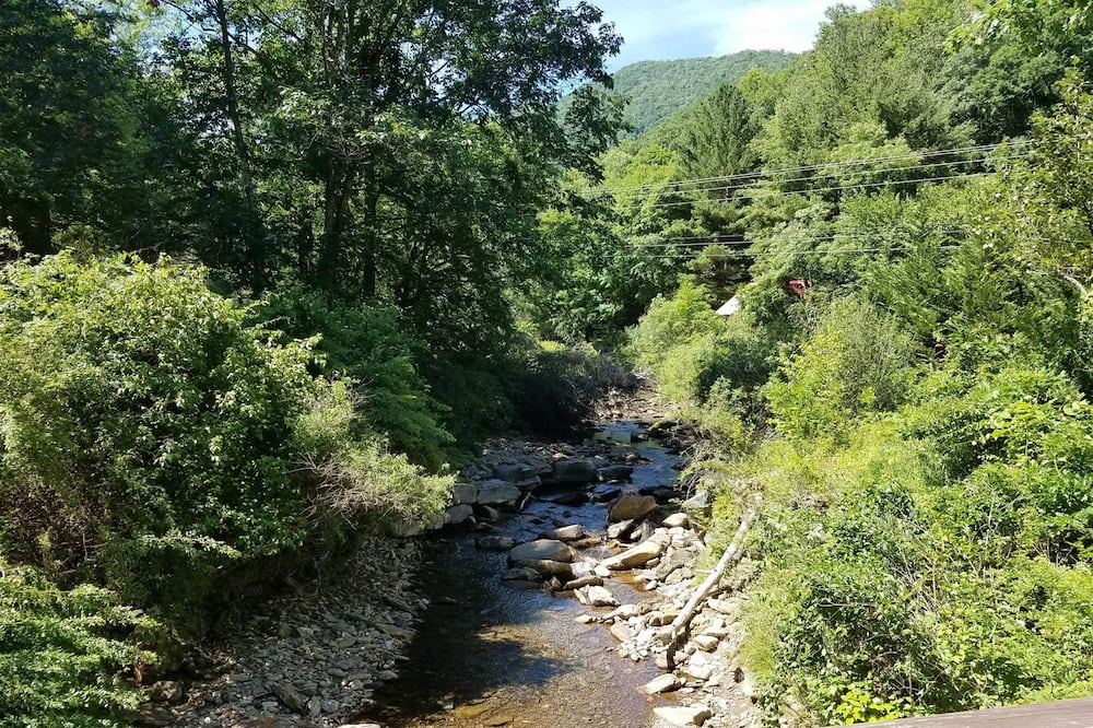 Photo of Others in Cattail Creek