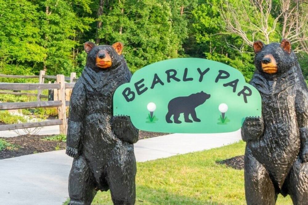 Photo of Outdoor in Gatlinburg