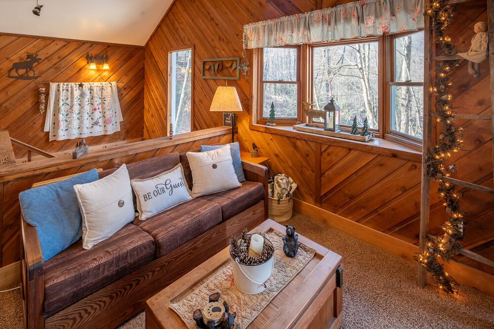 Photo of Livingroom in Elk Park