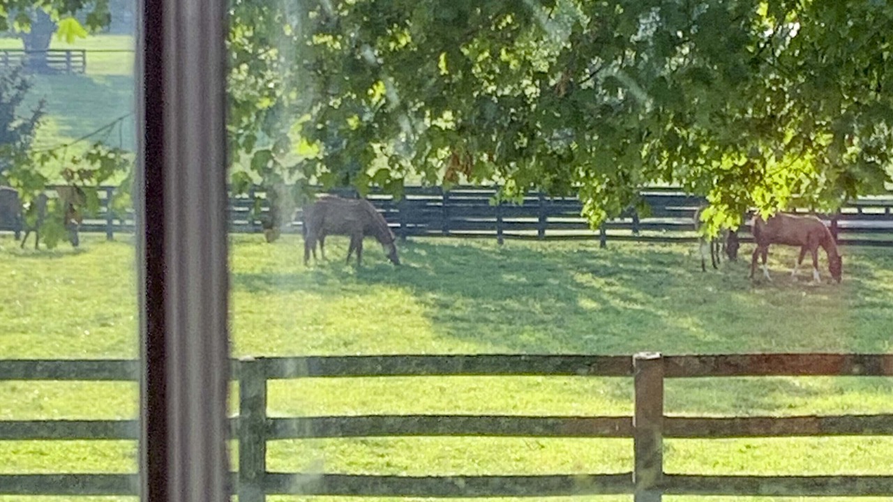 Photo of Outdoor in Lexington