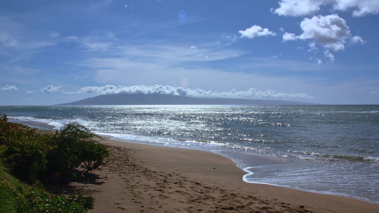 Photo of Others in Kahana