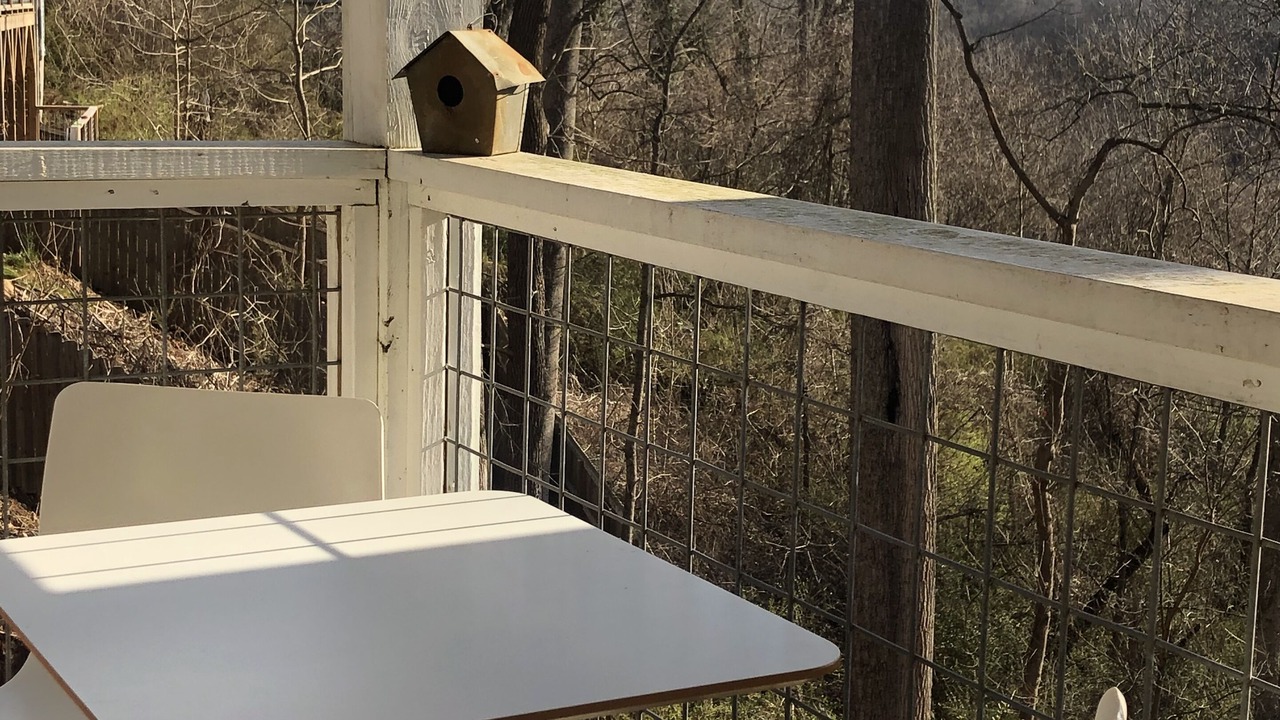 Photo of Outdoor in Asheville