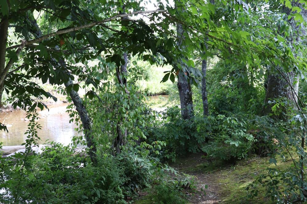Photo of Outdoor in Altamont