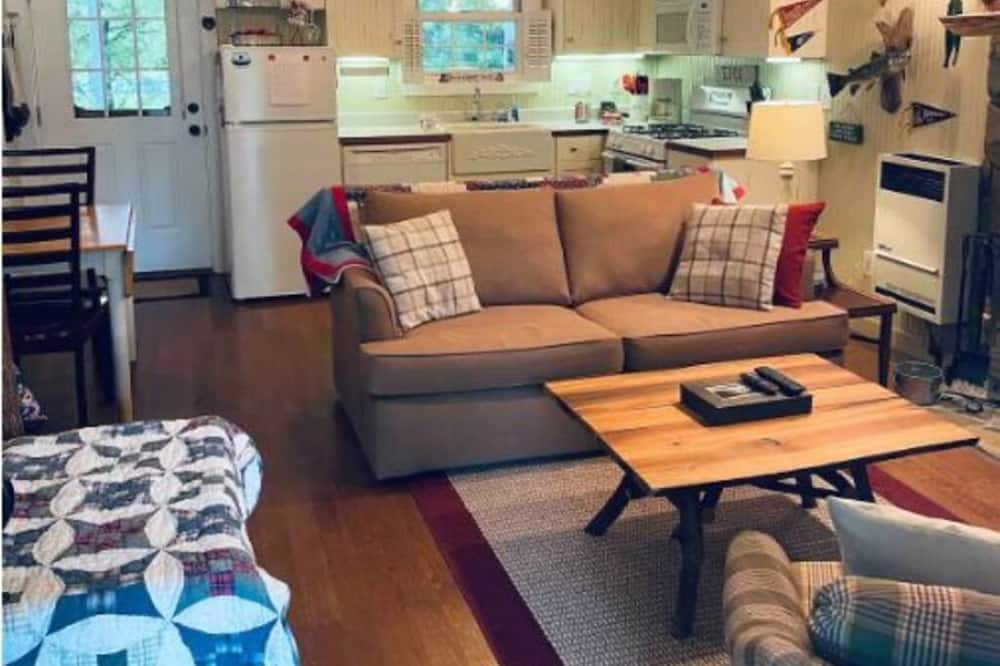 Photo of Livingroom in Altamont