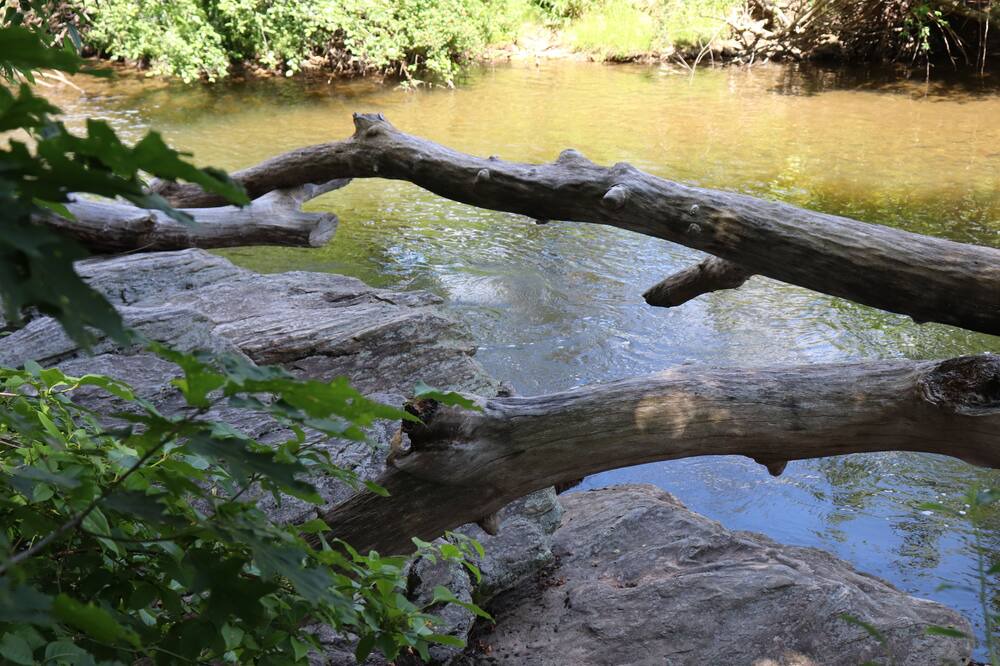 Photo of Outdoor in Altamont