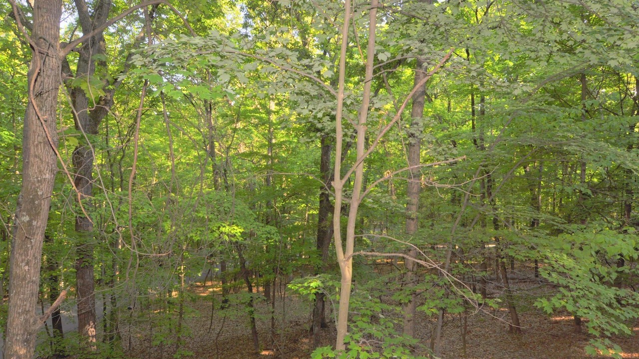Photo of Others in Berkeley Springs