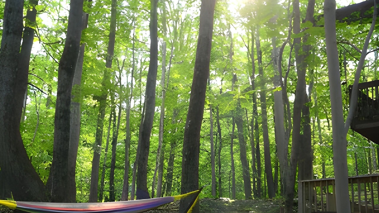 Photo of Outdoor in Berkeley Springs