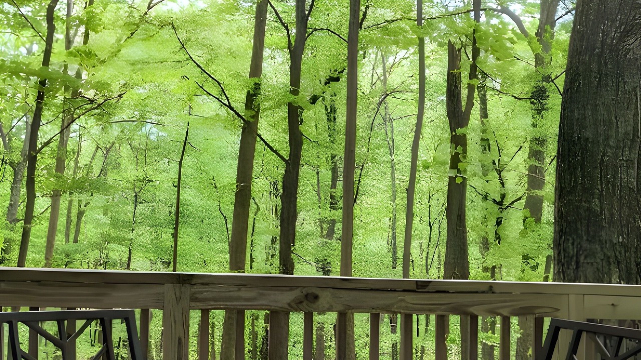 Photo of Outdoor in Berkeley Springs