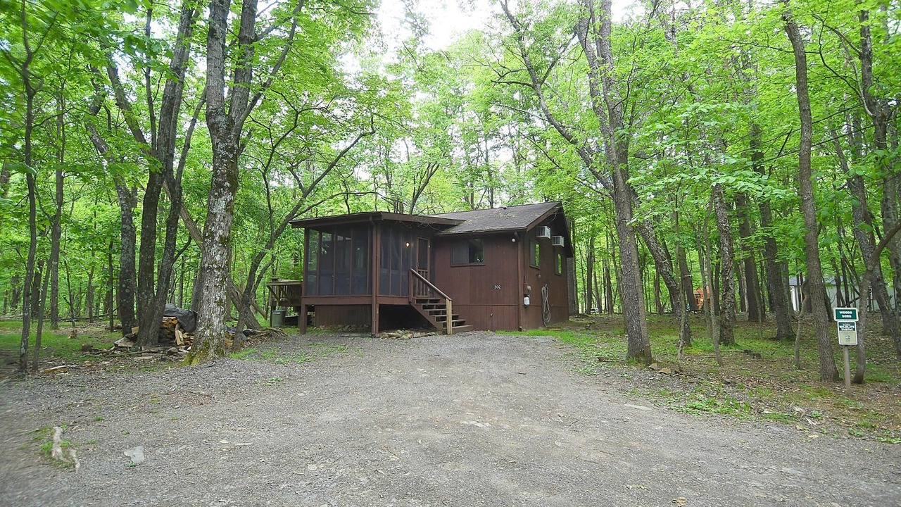 Photo of Others in The Woods