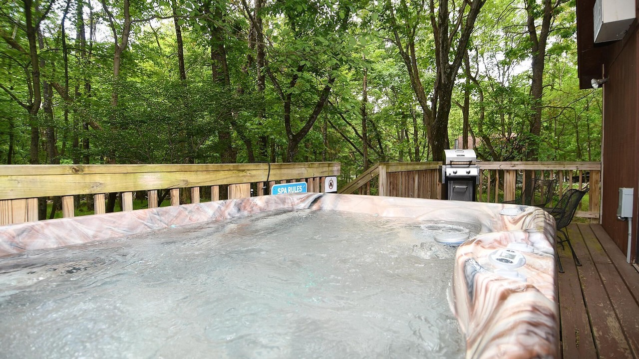 Photo of Outdoor in The Woods