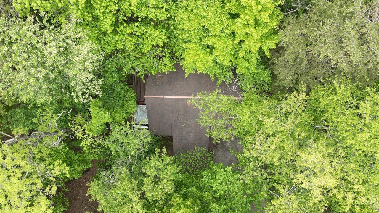 Photo of Outdoor in The Woods