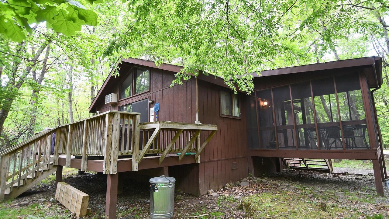 Photo of Outdoor in The Woods