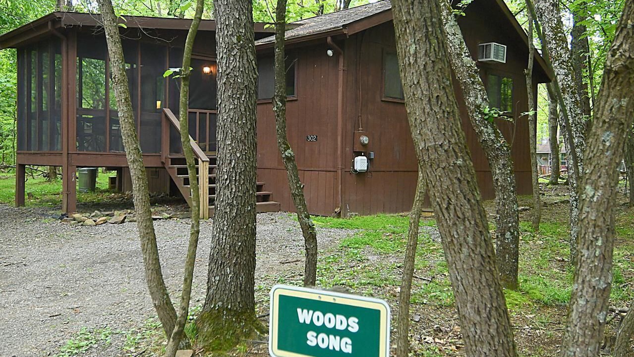 Photo of Others in The Woods