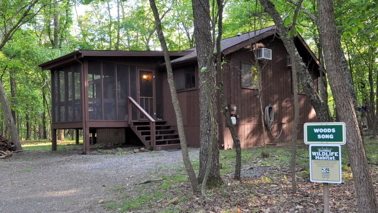 Photo of Outdoor in The Woods