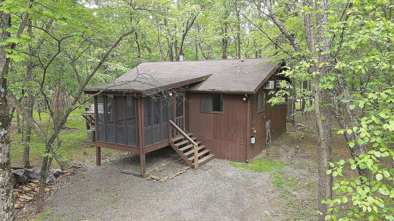 Photo of Outdoor in The Woods
