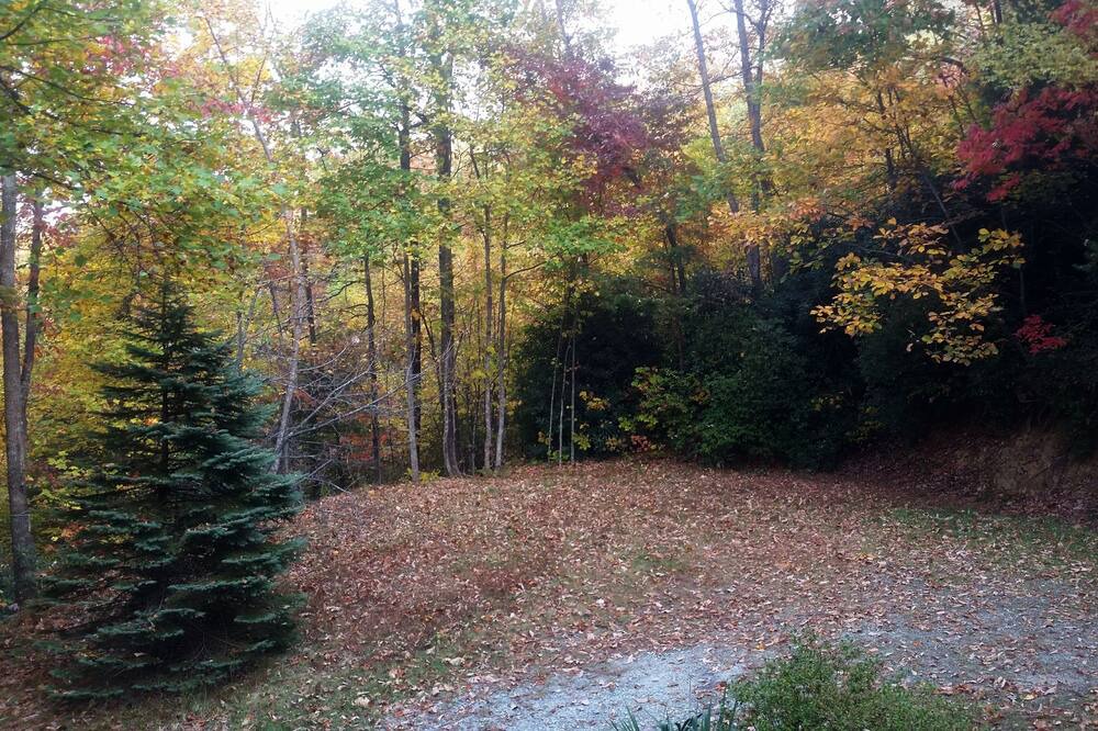 Photo of Outdoor in Hendersonville