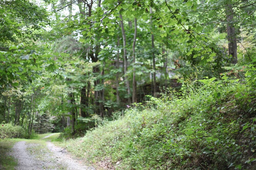 Photo of Outdoor in Hendersonville