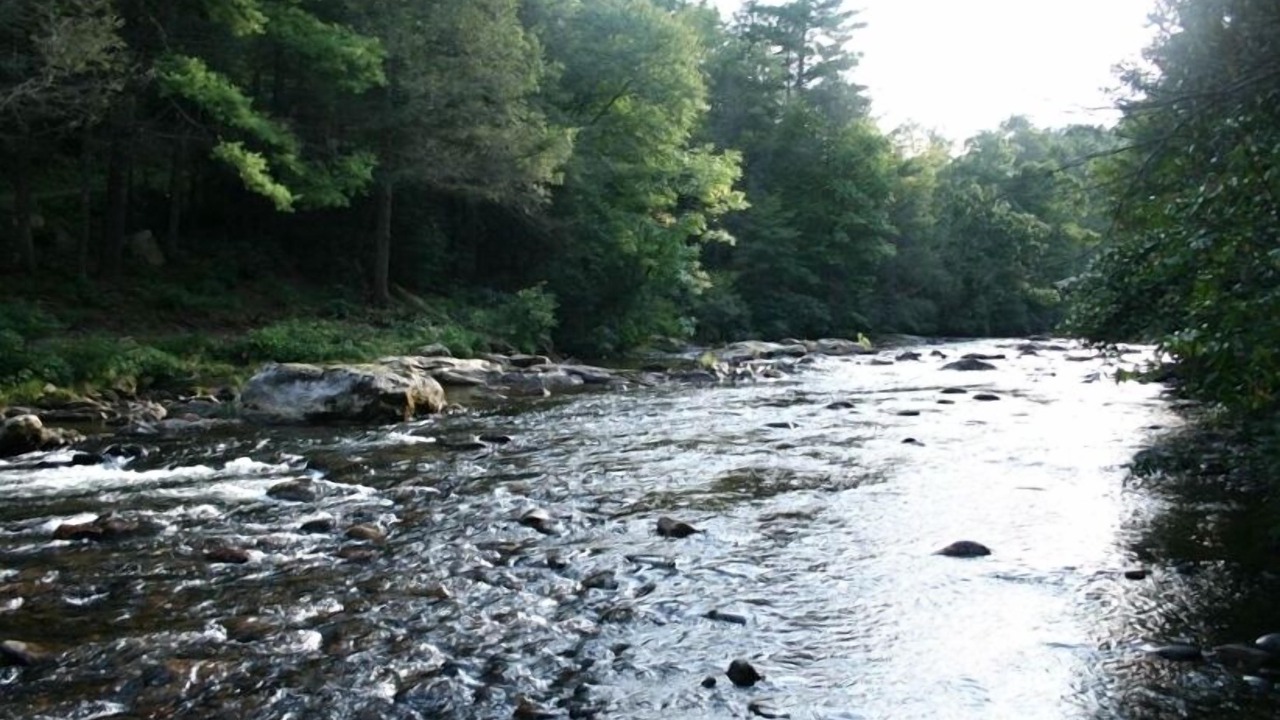 Photo of Others in Burnsville