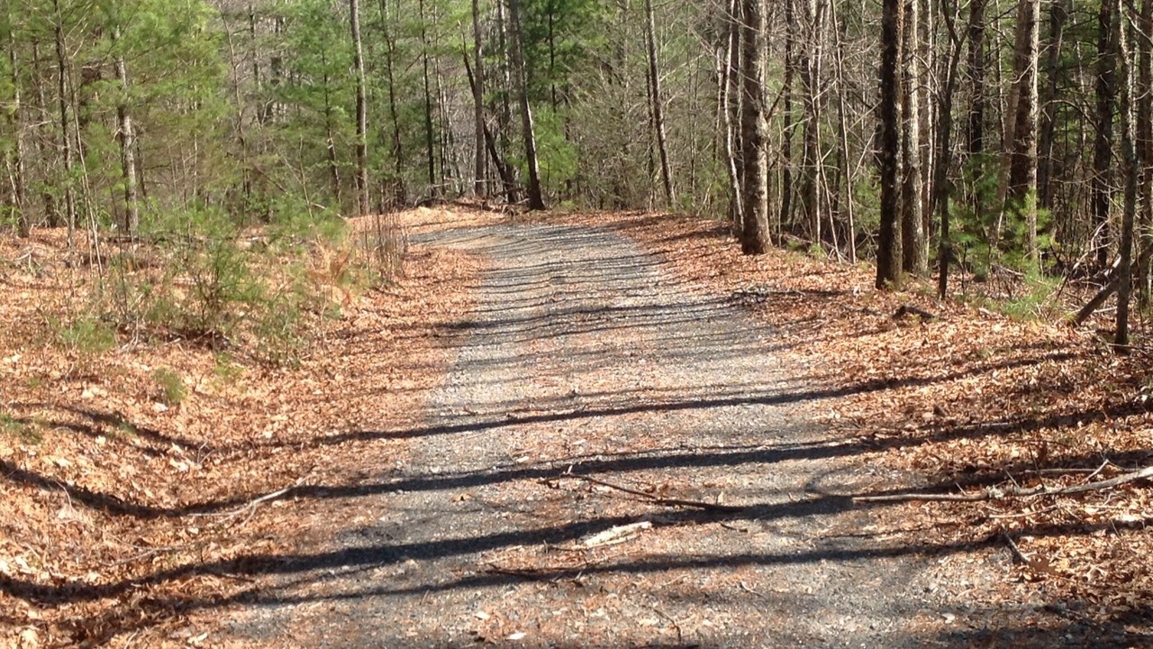 Photo of Outdoor in Burnsville