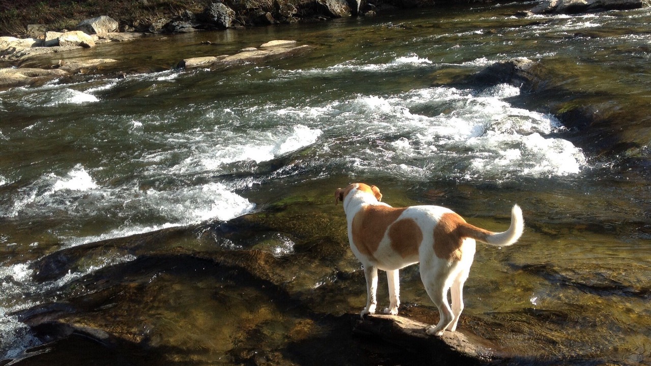Photo of Outdoor in Burnsville