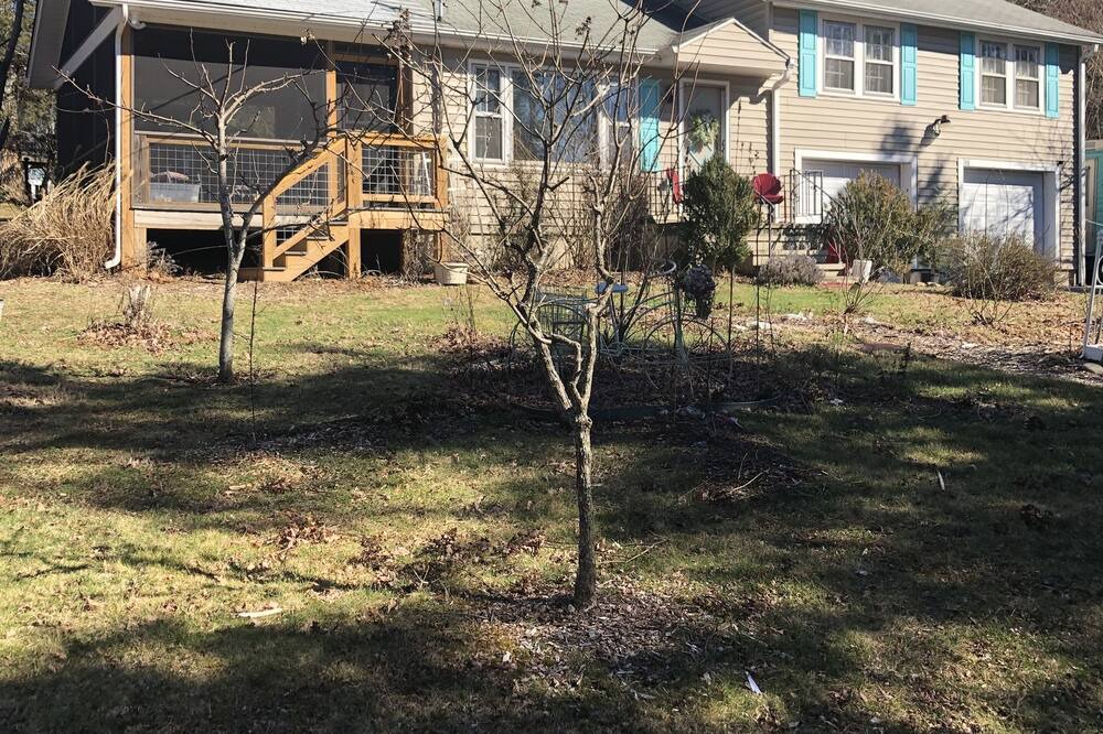 Photo of Outdoor in Black Mountain