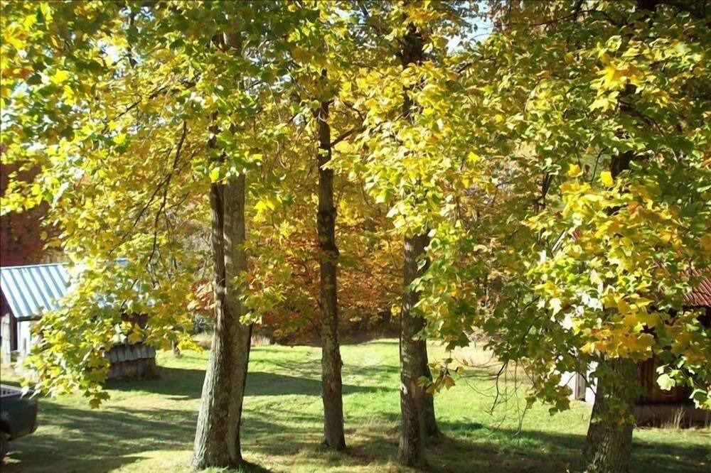Photo of Outdoor in Northern