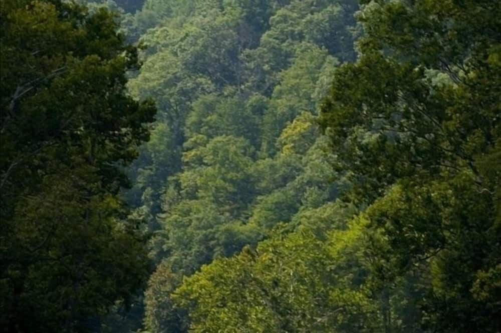 Photo of Outdoor in Northern