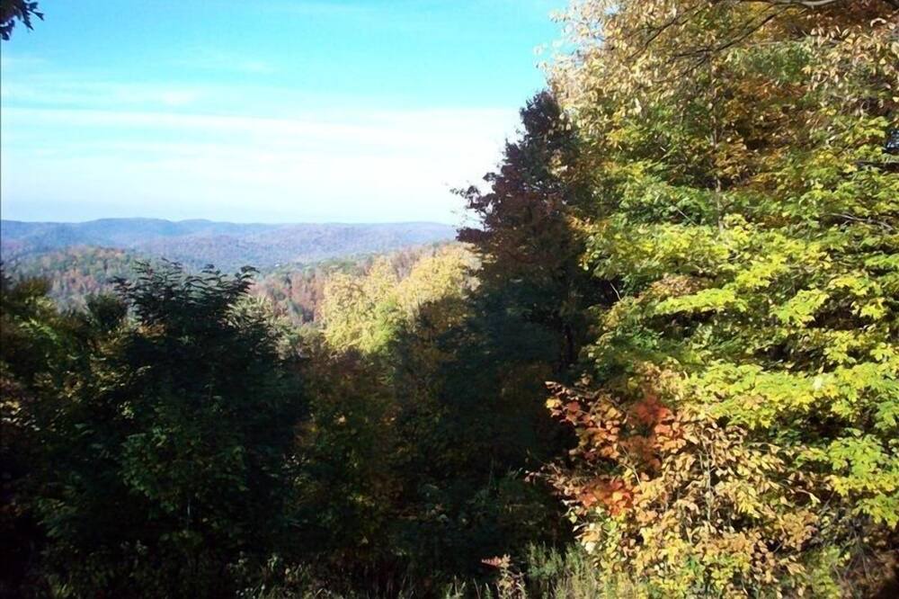 Photo of Outdoor in Northern