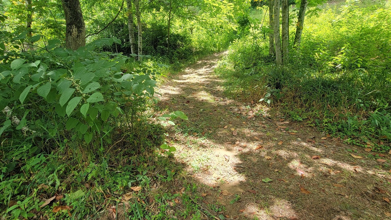 Photo of Outdoor in Burnsville
