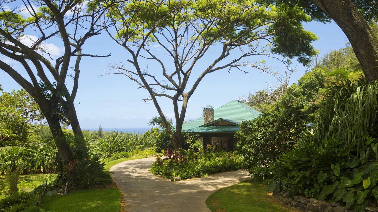 Photo of Outdoor in Wailuku Heights