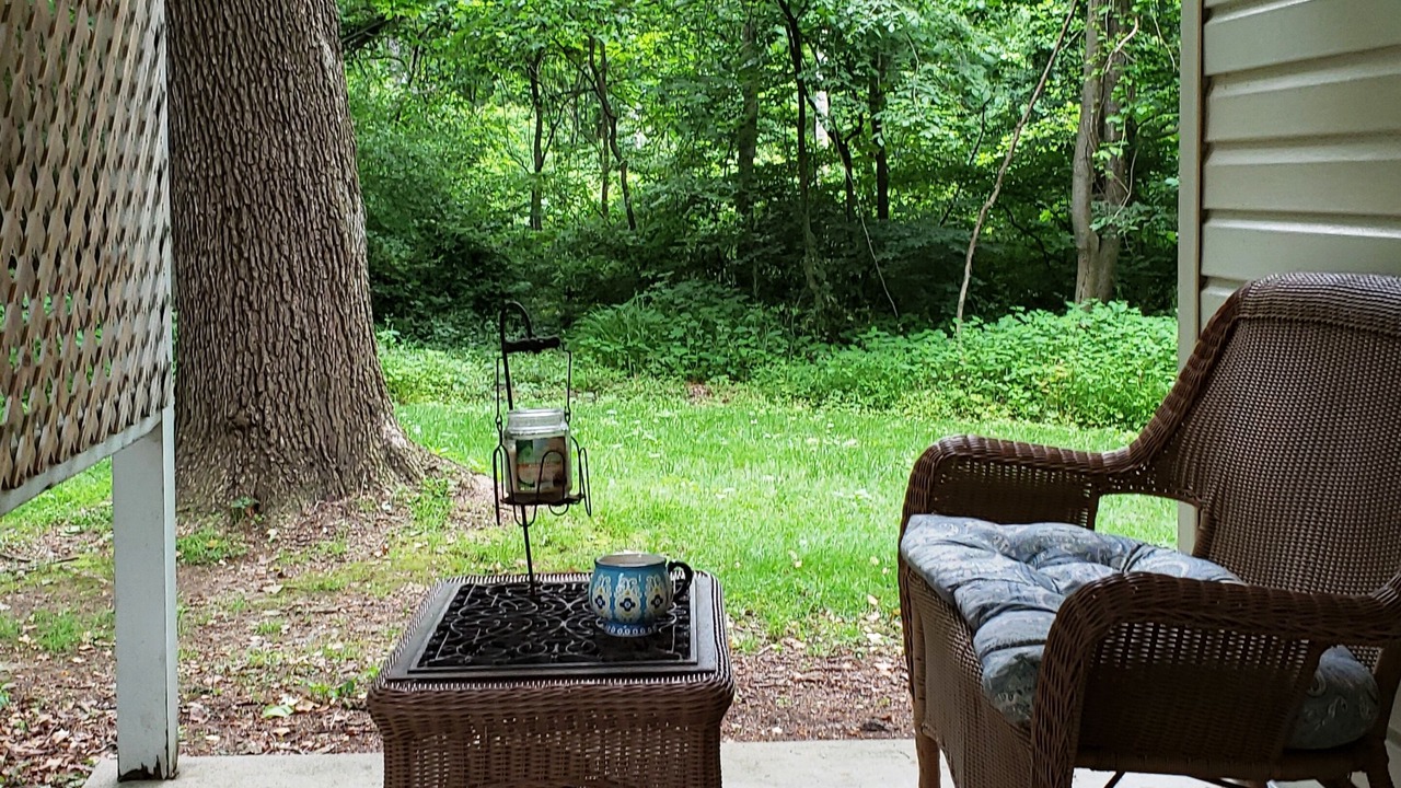 Photo of Patio Balcony in Fort Loudon