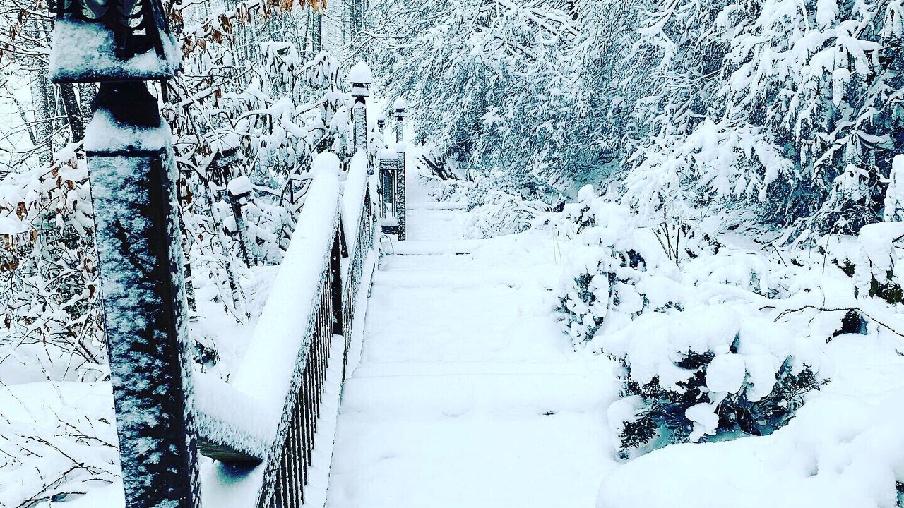 Photo of Outdoor in Waynesville