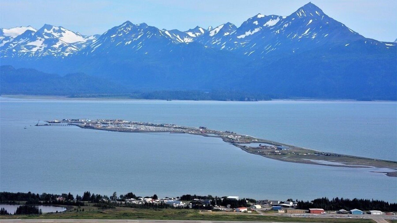 Photo of Others in Homer