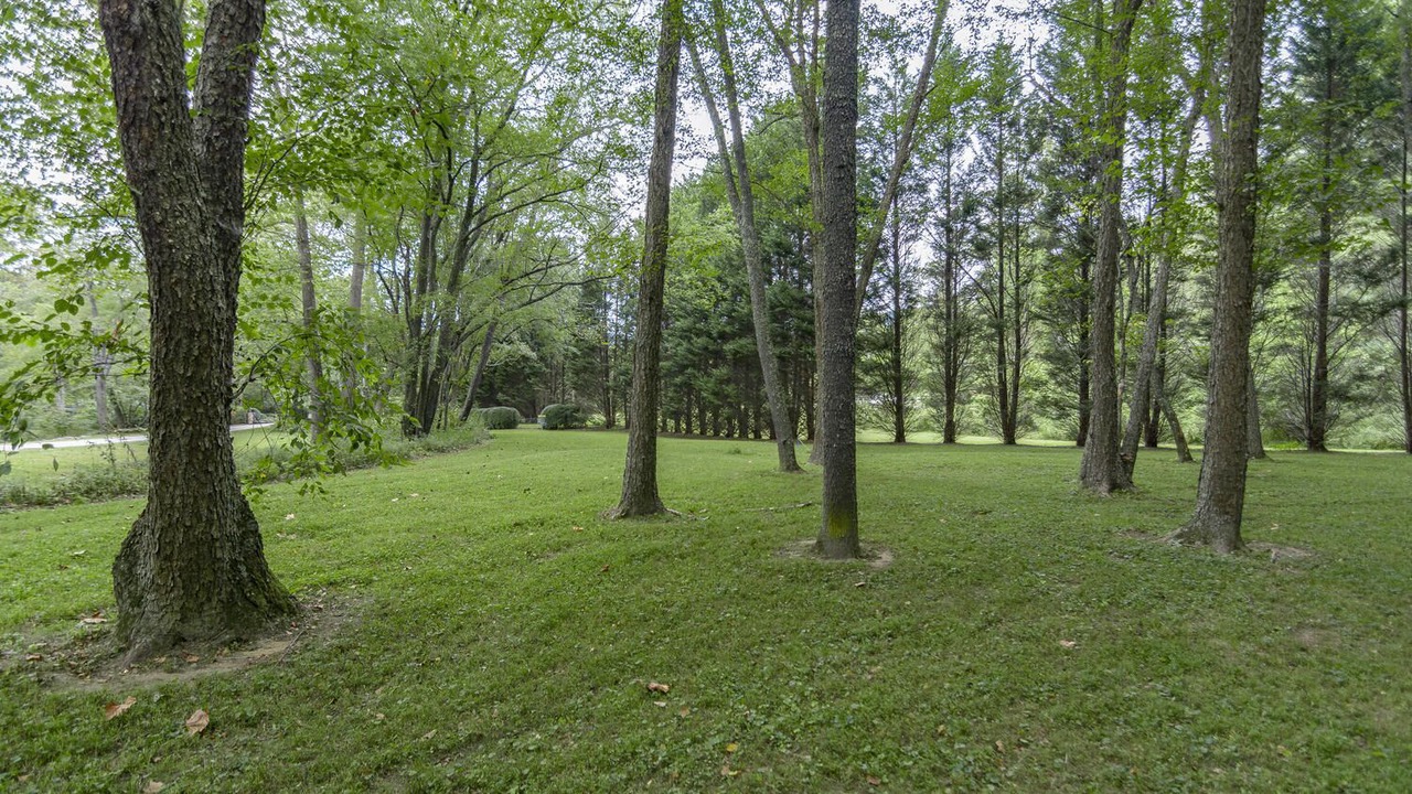 Photo of Outdoor in Fairview