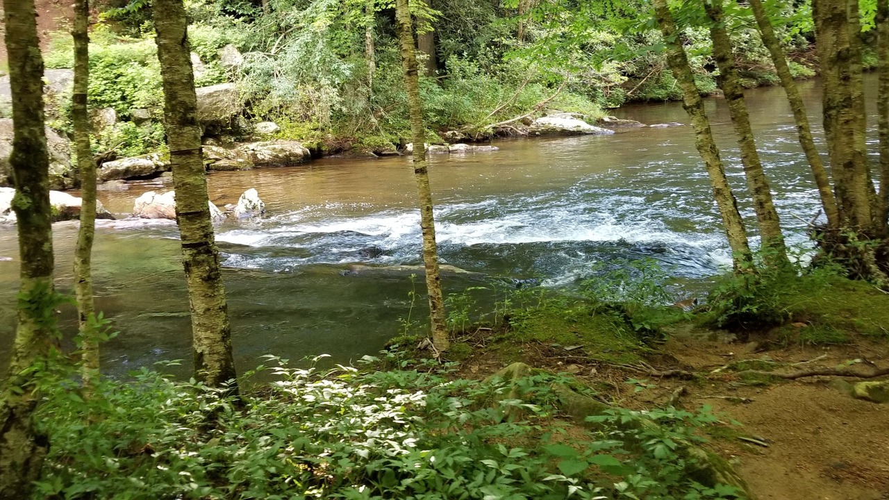 Photo of Outdoor in Newland