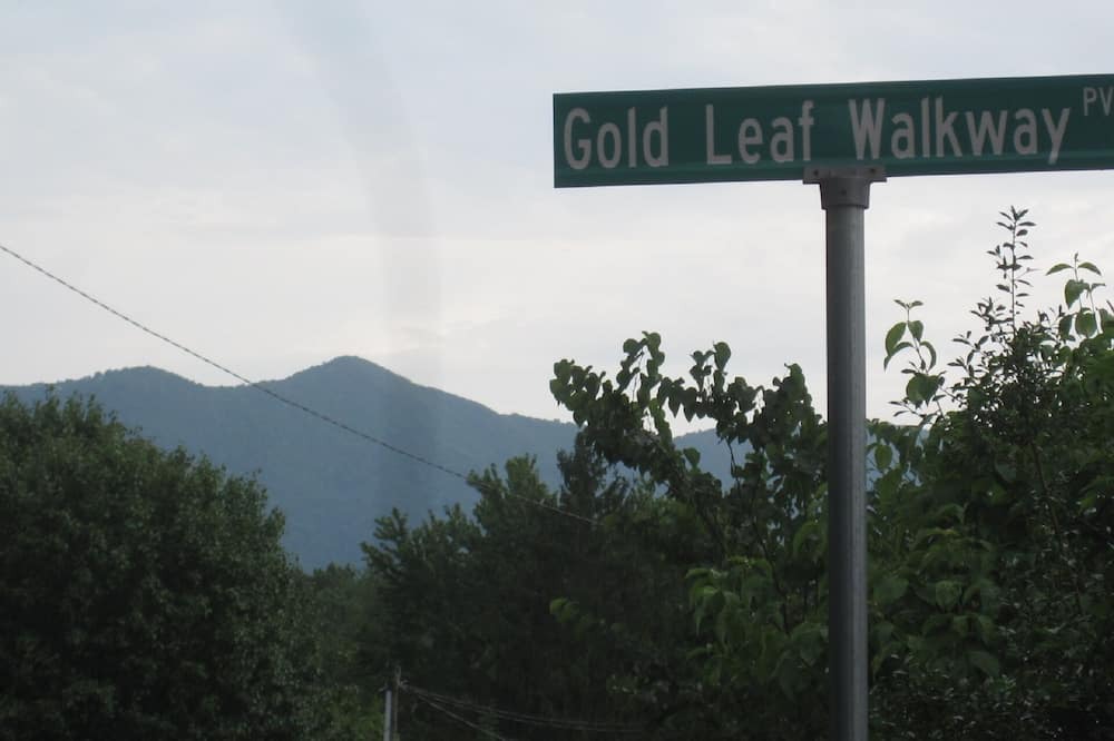 Photo of Outdoor in Black Mountain