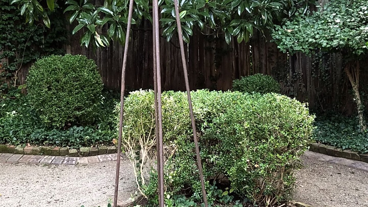 Photo of Outdoor in Northside District