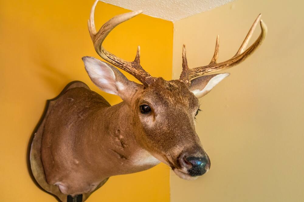 Photo of Others in Banner Elk