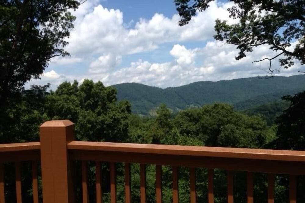 Photo of Others in Asheville