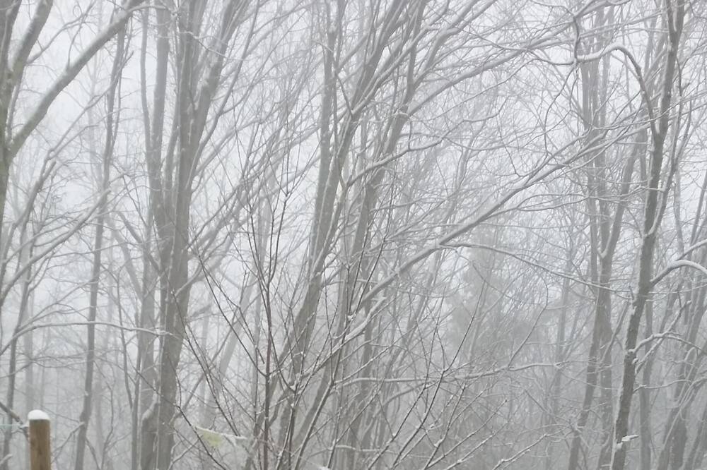 Photo of Others in Elk Park