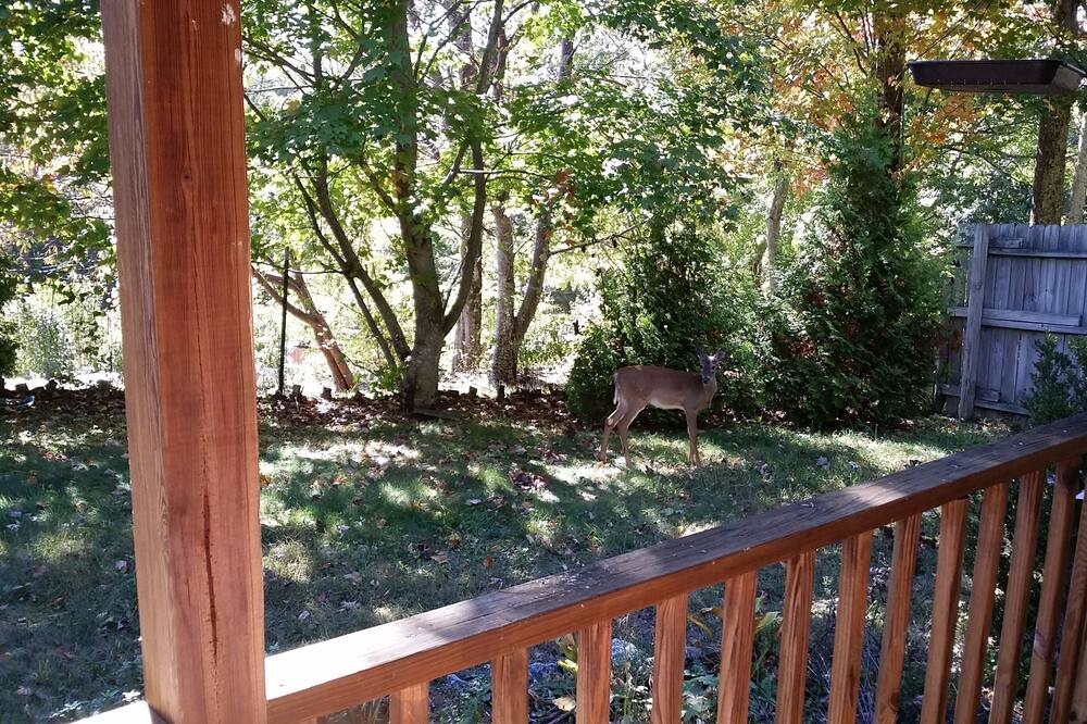 Photo of Others in Elk Park