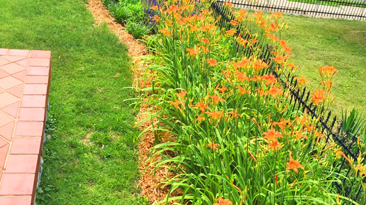 Photo of Outdoor in Northside District