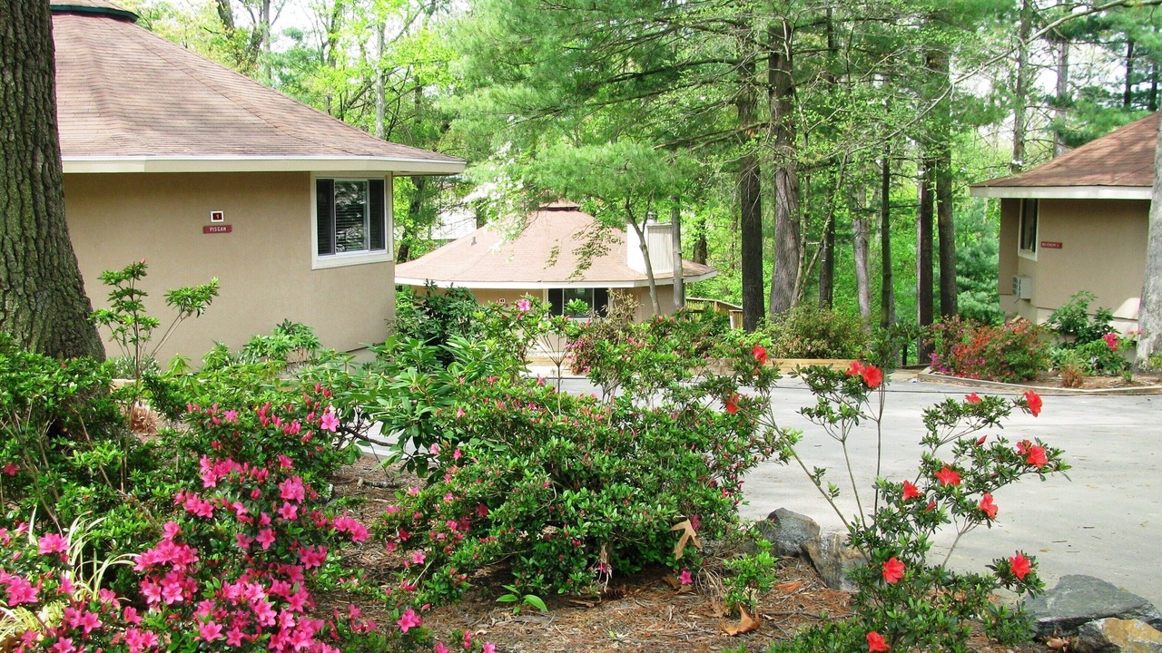 Photo of Outdoor in Asheville