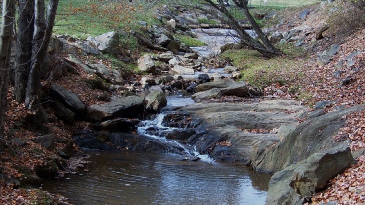 Photo of Outdoor in Asheville