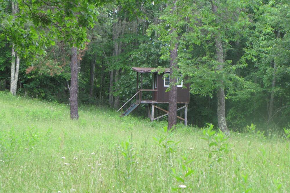 Photo of Outdoor in Dailey