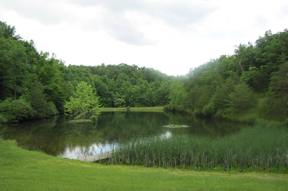 Photo of Others in Dailey